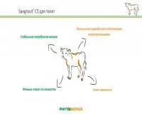 Кормовая добавка Сангровит CS для телят