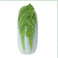 Капуста пекинская KS 374 F1 (2500 c) Kitano Seeds